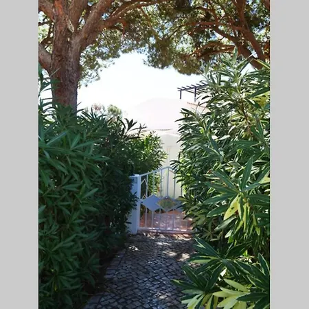Casa Da Praia Na Falesia Αλμπουφέιρα